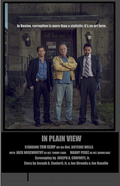 In Plain View — poster